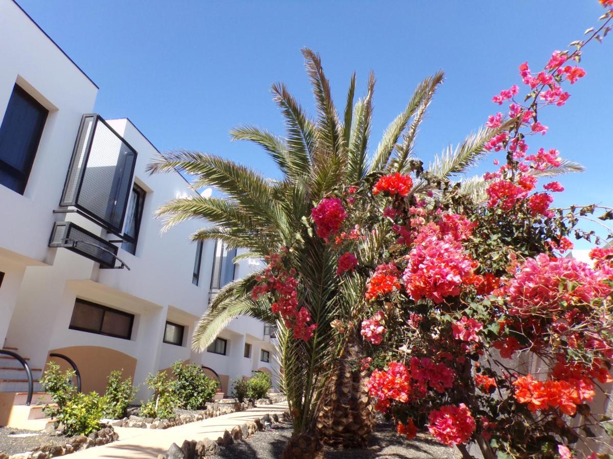 Amaya Ocean View Apartment Costa De Antigua Ngoại thất bức ảnh